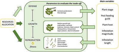 The Price of the Induced Defense Against Pests: A Meta-Analysis